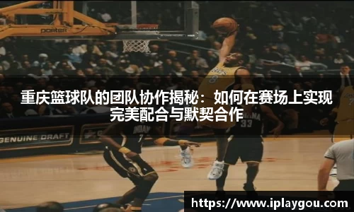 米兰(中国)体育官方网站